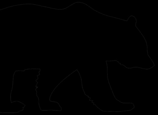 choose-us-background